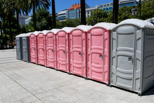 Types of Portable Toilets We Offer in Sparks, NV